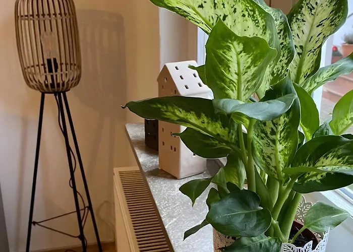 Fuldaufer Apartmán Melsungen